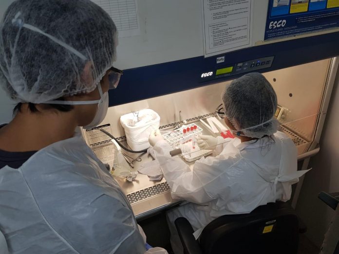 Universidade da Bahia assina convênio para realização de 10 mil testes de detecção da Covid-19