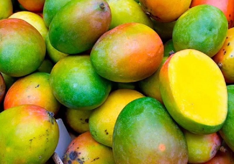 Município de Livramento está entre os maiores produtores de manga do país