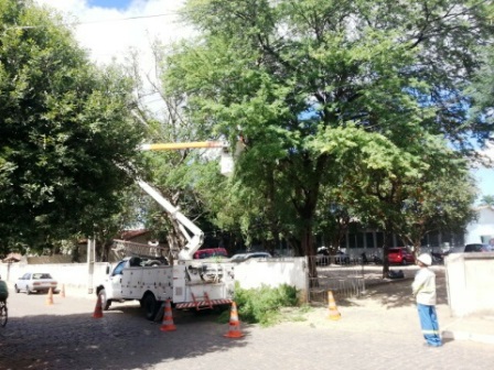 Coelba realiza poda de árvores próximo a rede elétrica do hospital