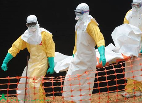 Guiné, Serra Leoa e Libéria fecham fronteira comum onde Ebola surgiu