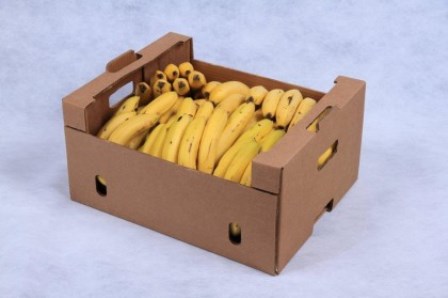 Bandidos disfarçados de carteiros assaltam posto de combustíveis e ao fugiram deixam uma caixa com bananas 