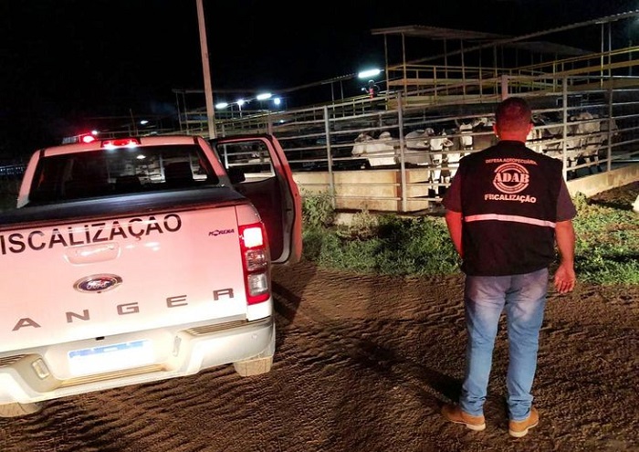 Carreta com 60 animais sem documentação sanitária é apreendido pela ADAB