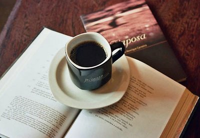  Nordeste literário é o tema da edição 2013 do projeto Paixão de Ler