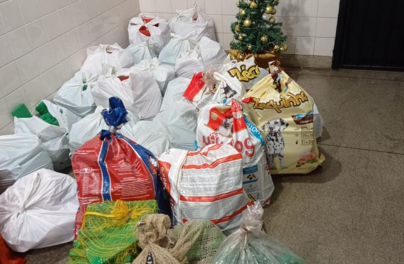 PRF apreende 486 kg de maconha em fundo falso de caminhão na BR-030 em Brumado