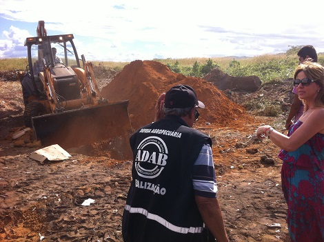 Duas toneladas de frango estragado são apreendidas e destruídas pela ADAB