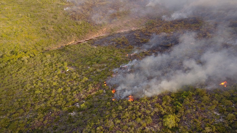 Incêndio atinge áreas de vegetação entre os municípios de Ibicoara e Iramaia