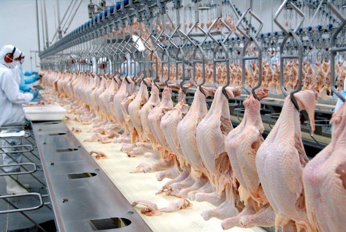 ADAB abre consulta pública para agroindústria de pequeno porte para abate de aves