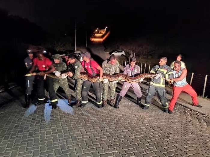 Sucuri de 7 metros é encontrada perto de represa visitada por banhistas em Porto Seguro