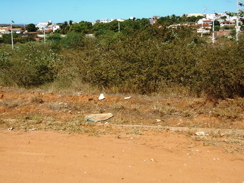 Moradores reclamam de matagal em terrenos baldios no centro da cidade
