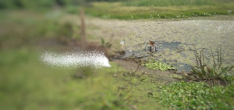 Idoso morre após receber descarga elétrica quando manuseava bomba d'água em Aracatu