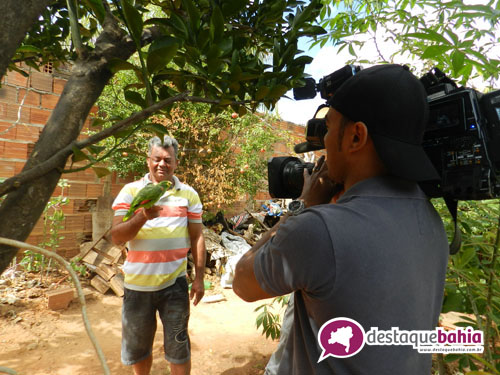 Maetinguense 'amigo de jacaré' é tema de reportagem da Rede Record