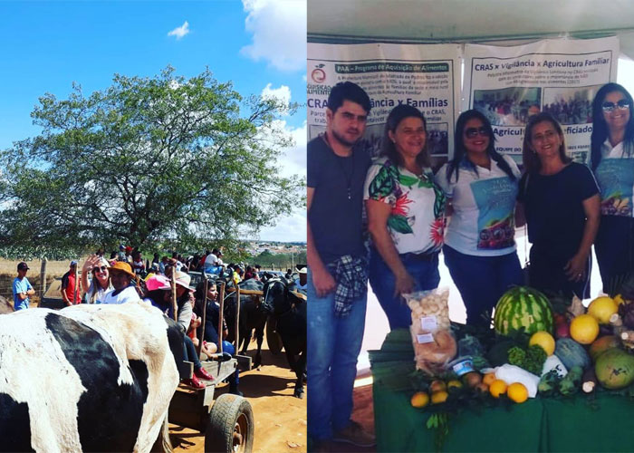 Feira de Animais e grandes shows marcam o aniversário de Malhada de Pedras