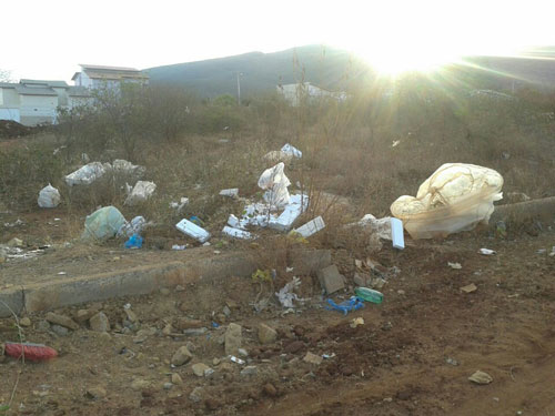 Animais mortos, lixo e falta de infraestrutura deixam indignados moradores do Santa Tereza