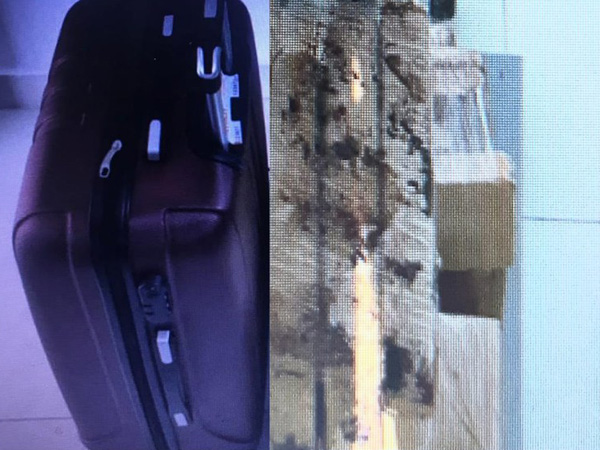 Mais de 20 Kg de maconha são apreendidos na BR 116, em Vitória da Conquista