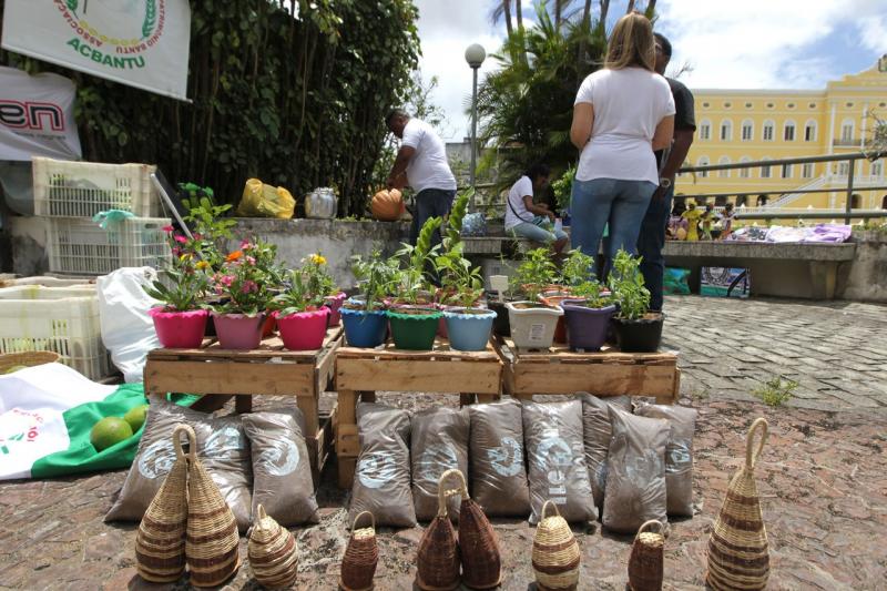 Prorrogadas inscrições para editais que somam R$ 58 milhões em assistência à agroecologia