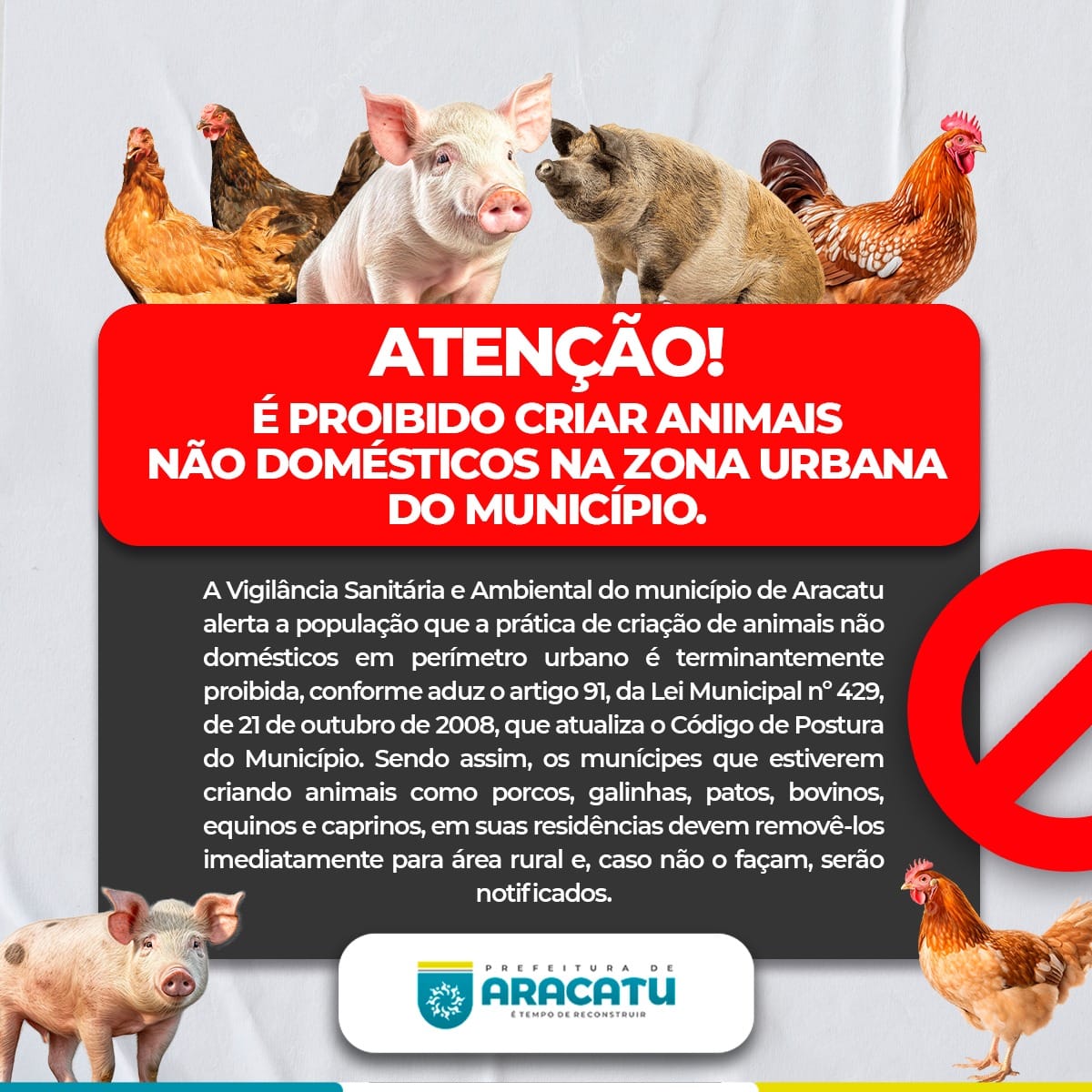 Vigilância sanitária de Aracatu alerta a população sobre proibição de criar animais não domésticos na zona urbana do município