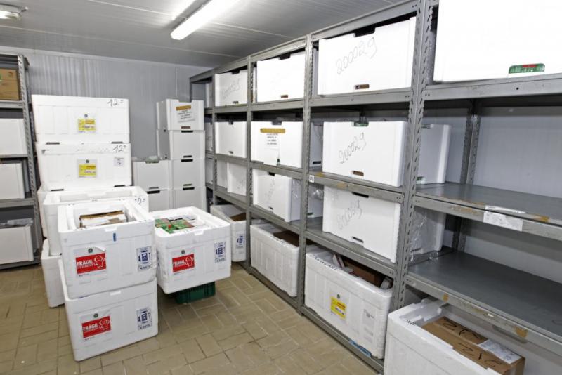 Cerca de 180 mil baianos serão imunizados contra o coronavírus nesta primeira fase