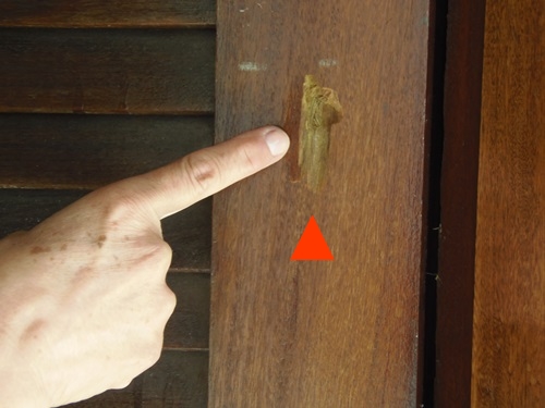 Morador que teve casa atingida por disparo reprovou ação da PM na Vila Presidente Vargas na última sexta