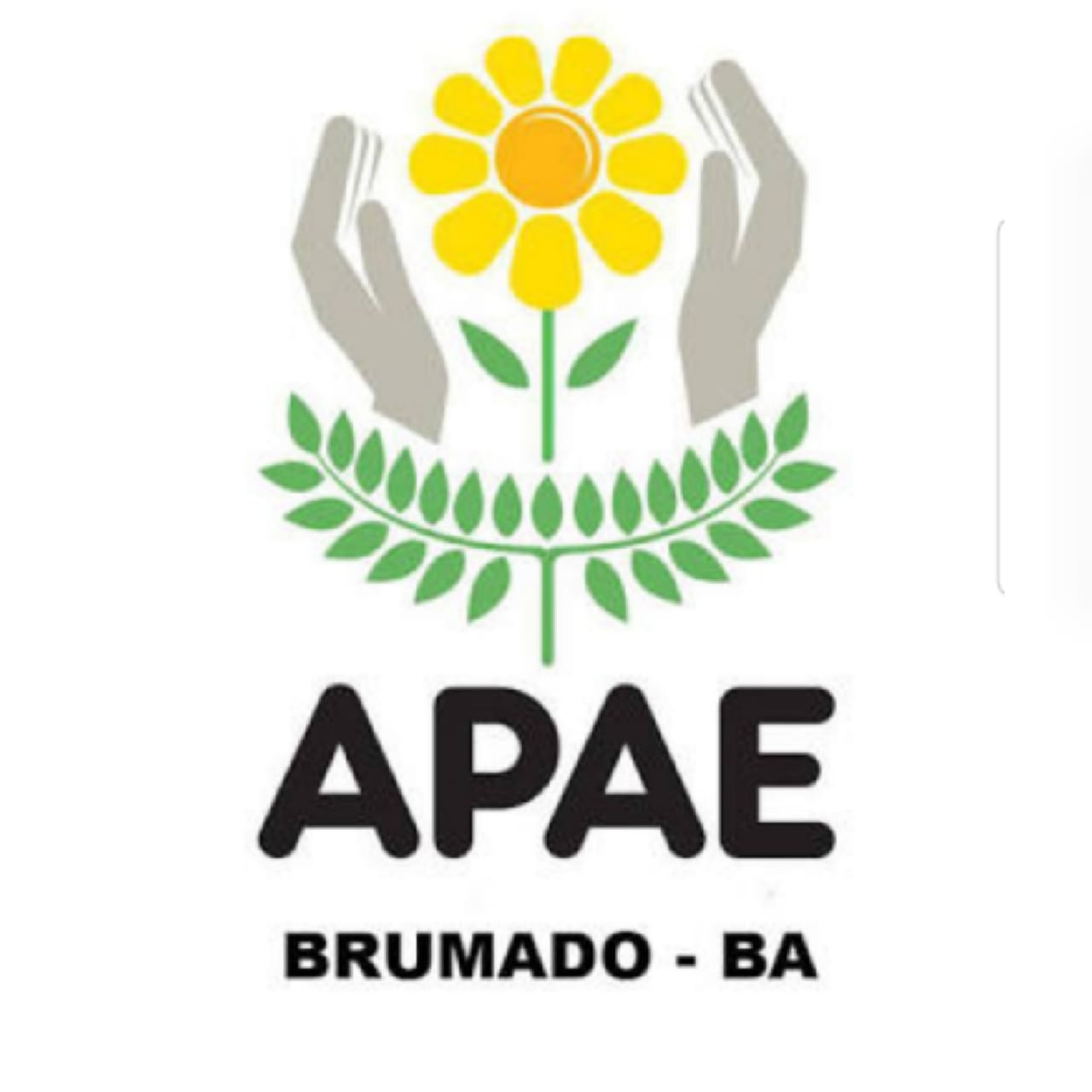 APAE de Brumado busca doações e voluntário para realização de reforma na sede do órgão