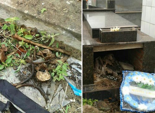 Jovens ateus que violavam sepulturas e espalhavam restos mortais são detidos pela polícia