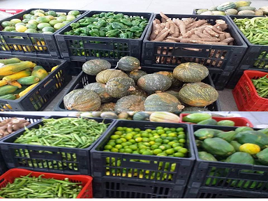 Brumado: Secretaria de Desenvolvimento Social e Cidadania comunica o retorno do PAA – Alimentos