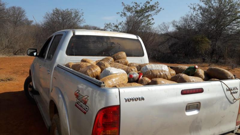 Livramento de Nossa Senhora: Justiça determina prisão de donos de fazenda onde droga foi encontrada