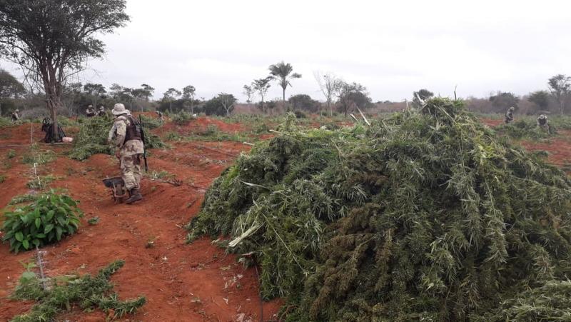 Homem morre em confronto com a polícia na Chapada Diamantina
