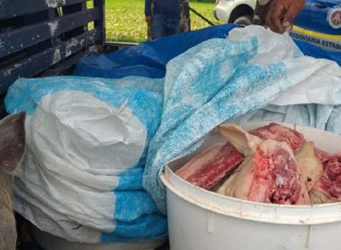 Carga com 140 Kg de carne clandestina transportada em caminhão sem refrigeração é apreendida na BA