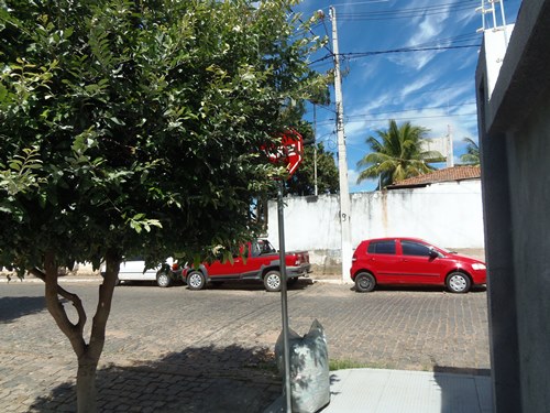 Placa de sinalização de trânsito escondida entre árvore coloca em risco a vida de condutores e transeuntes   