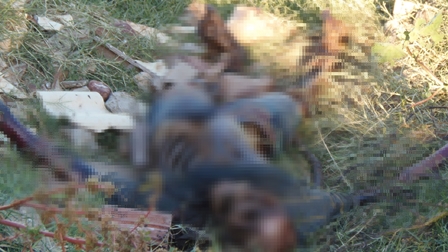 Corpo em avançado estado de decomposição é encontrado próximo a linha férrea no centro da cidade