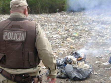 Santa Inês: Justiça autoriza incineração de  mais dois mil pés de maconha 
