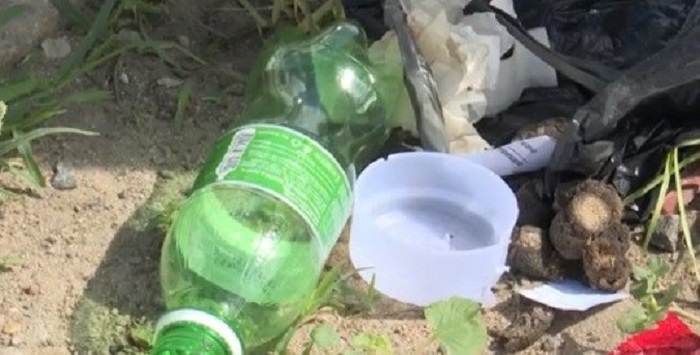 Feira de Santana: Alerta de surto de dengue preocupa moradores do município