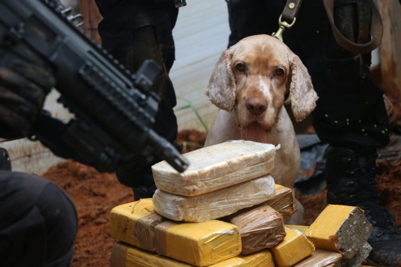 Polícia baiana desmonta esquema que movimentava R$ 2 milhões por mês