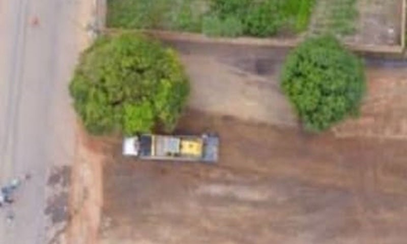 População questiona prefeitura de Livramento após derrubar três pés de manga para montagem de palco na Rua do Areião 