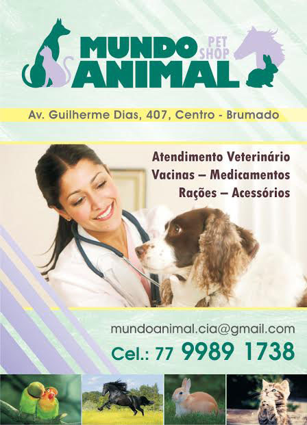 Seu animal de estimação em mãos de profissionais