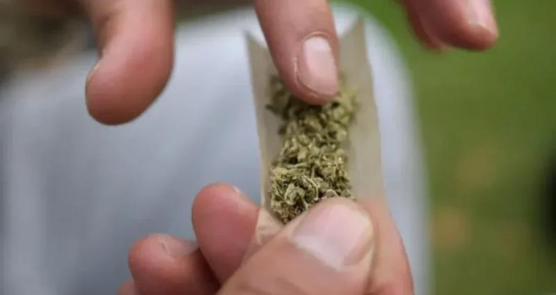 Supremo fixa porte de 40g de maconha para diferenciar usuário de traficante