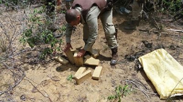 Operação policial conjunta apreende quase 50 kg de maconha