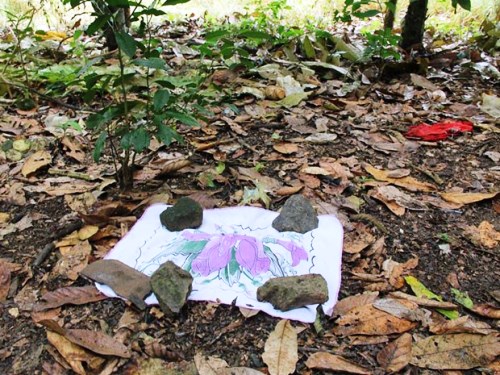 Bebê recém-nascido é achado morto em plantação de cacau 