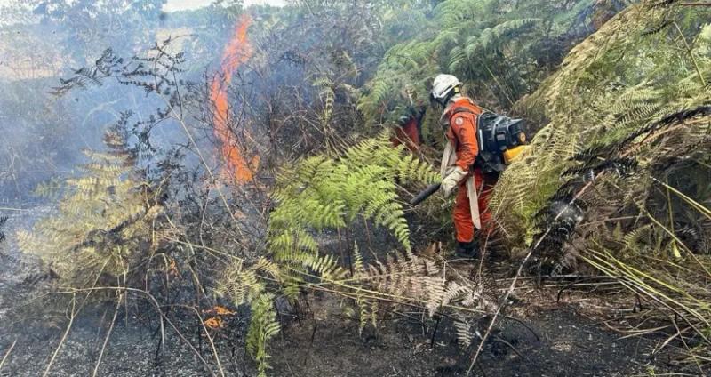Incêndios no interior da Bahia mobilizam cerca de 200 bombeiros