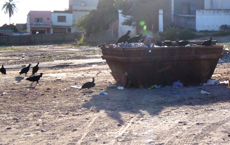 Urubus em horário de almoço na  área da cesta do povo