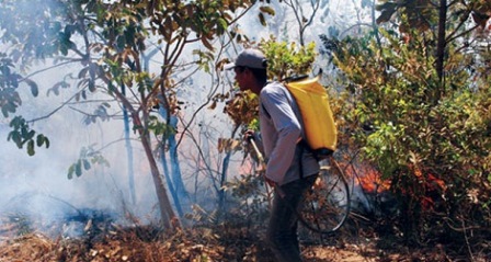 'SEMA E INEMA' estão combatendo focos de incêndios florestais no oeste e na chapada Diamanatina