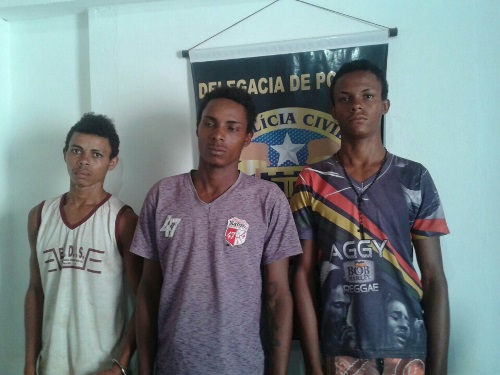 Policia descobre plantação de maconha na zona rural de Ibicoara e três elementos são detidos