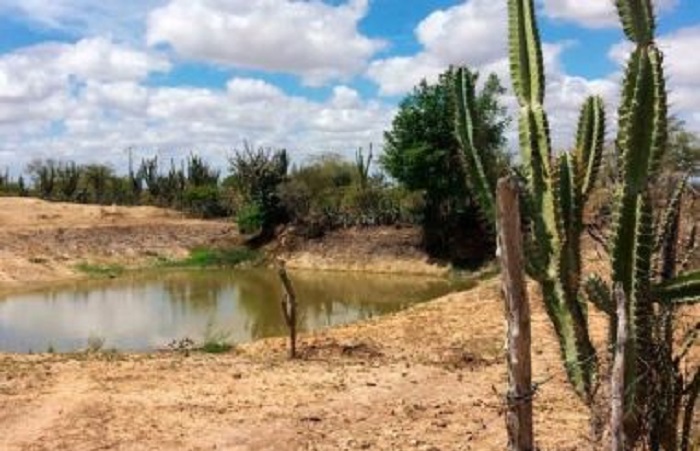 Ribeira do Pombal: Governo do estado reconhece situação de emergência da Zona Rural do município