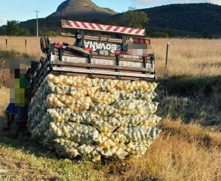 Caminhonete capota na BA-148 próximo a Brumado