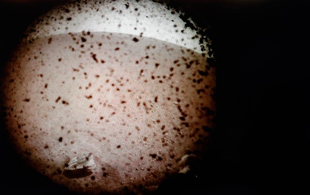 Sonda da Nasa pousa em Marte após sete meses de viagem
