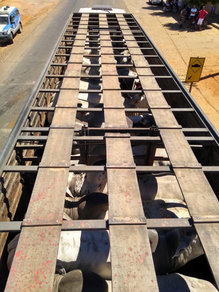 Bandidos roubam caminhão boiadeiro em Livramento e motorista só é liberado em Bom Jesus da Lapa