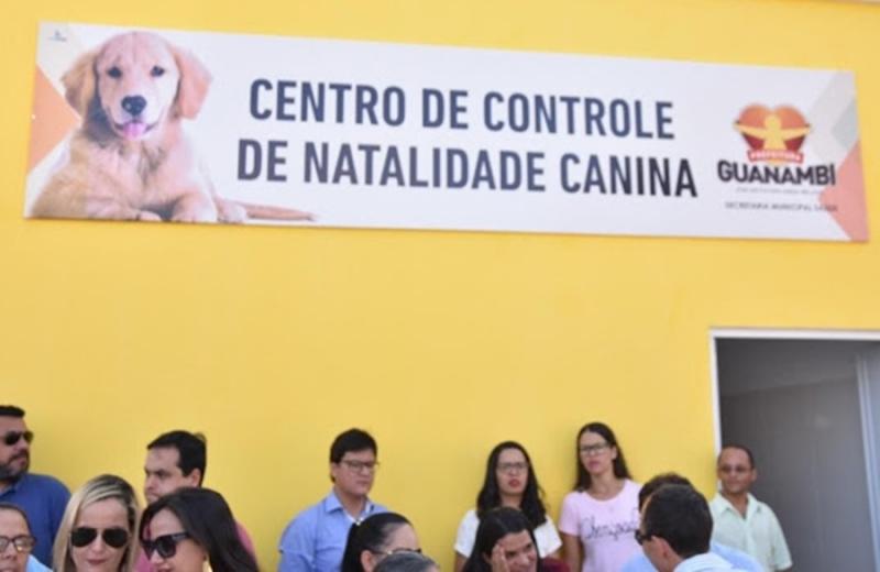 Governo de Guanambi recolhe cães de rua e faz encaminhamento para o Centro de Controle de Natalidade