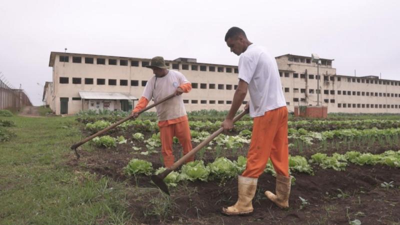 Menos de 1/5 dos presos trabalha no Brasil; 1 em cada 8 estuda