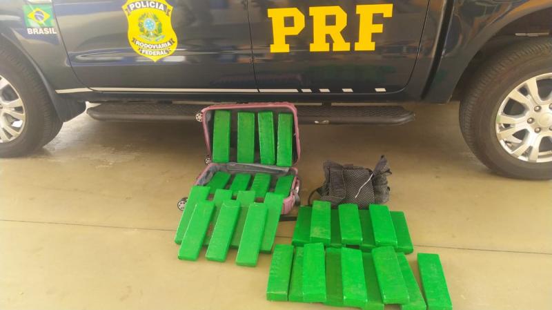 Cão farejador encontra droga escondida em bagagem de mulher em ônibus interestadual em Vitória da Conquista