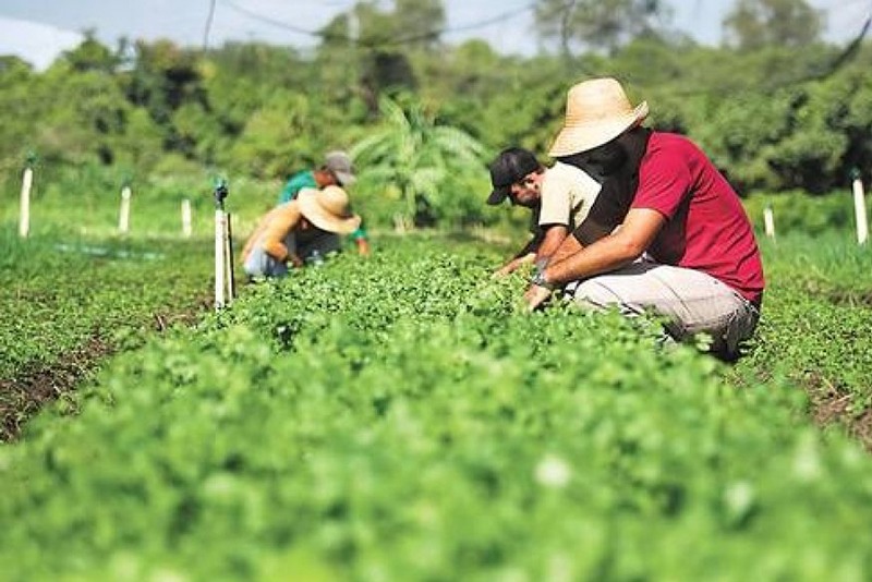 Guajeru: Secretaria de Agricultura de Meio Ambiente promove palestras em comemoração à Semana da Agricultura Familiar